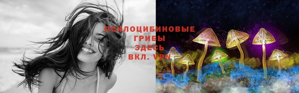 MESCALINE Шадринск