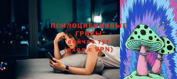 a pvp Шали
