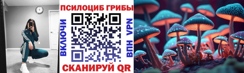 Псилоцибиновые грибы мицелий  Калуга 
