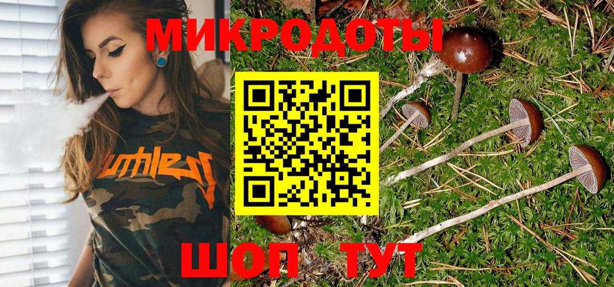 Псилоцибиновые грибы мицелий  Вход с VPN  Калуга 